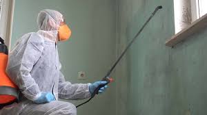 Why You Should Choose Our Mold Remediation Services in Elm Creek, NE