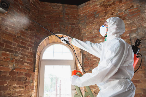 Best Industrial Mold Remediation  in Elm Creek, NE