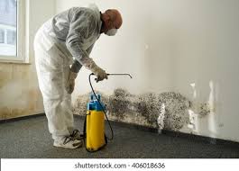 Best Residential Mold Inspection & Testing  in Elm Creek, NE